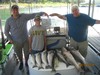 (08/13/2014) - Nice Striped Bass